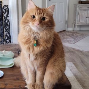 Meet your Posher, Georgia